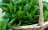 Parsley Image
