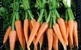 Parsley Image