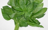 Parsley Image
