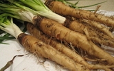 Parsley Image