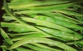 Parsley Image
