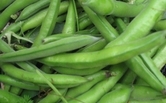 Parsley Image